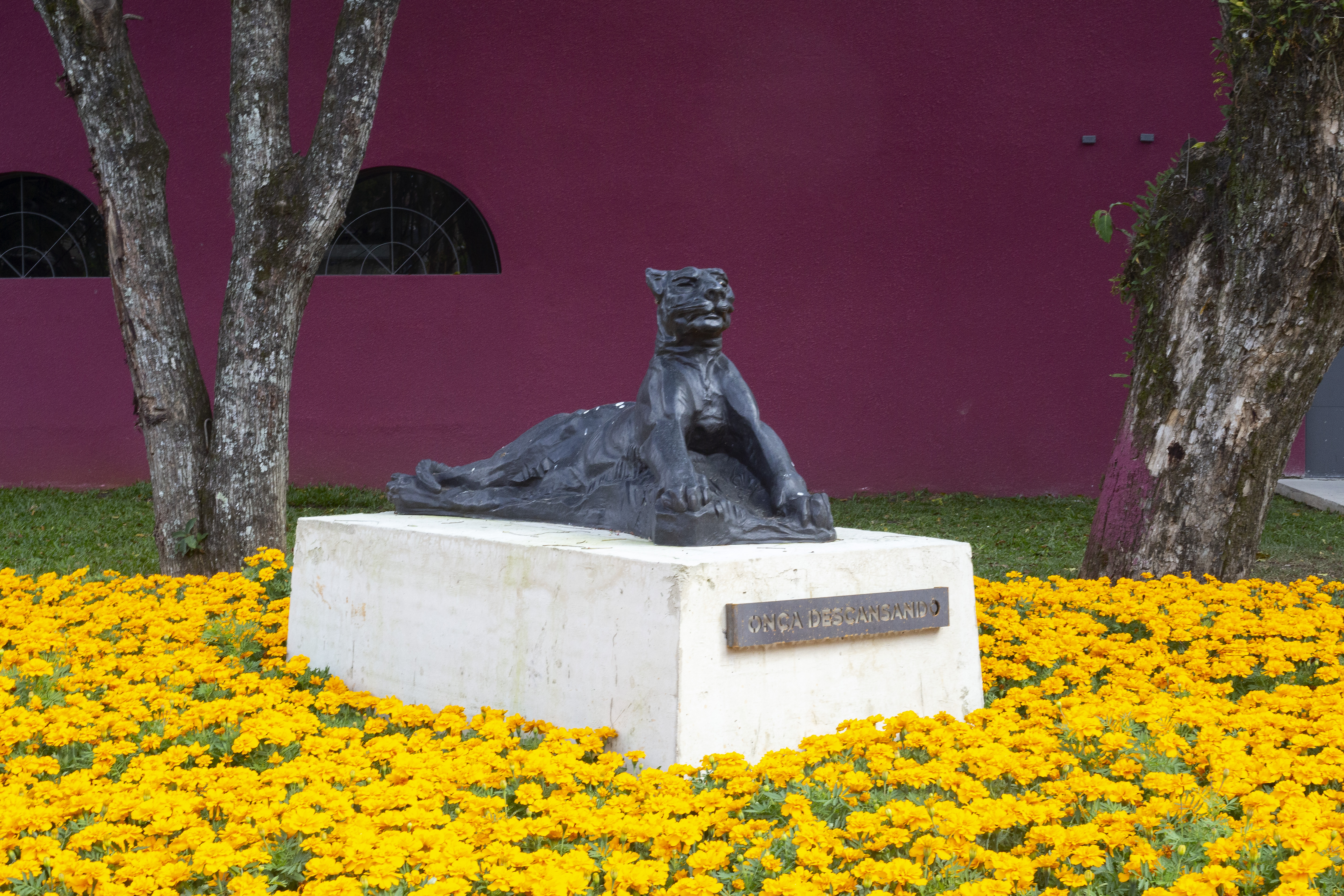 Escultura de onça é uma das 15 obras gigantes que formam o jardim de esculturas do Memorial, que é o maior do Brasil. Escultura de onça é uma das 15 obras gigantes que formam o jardim de esculturas do Memorial, que é o maior do Brasil.