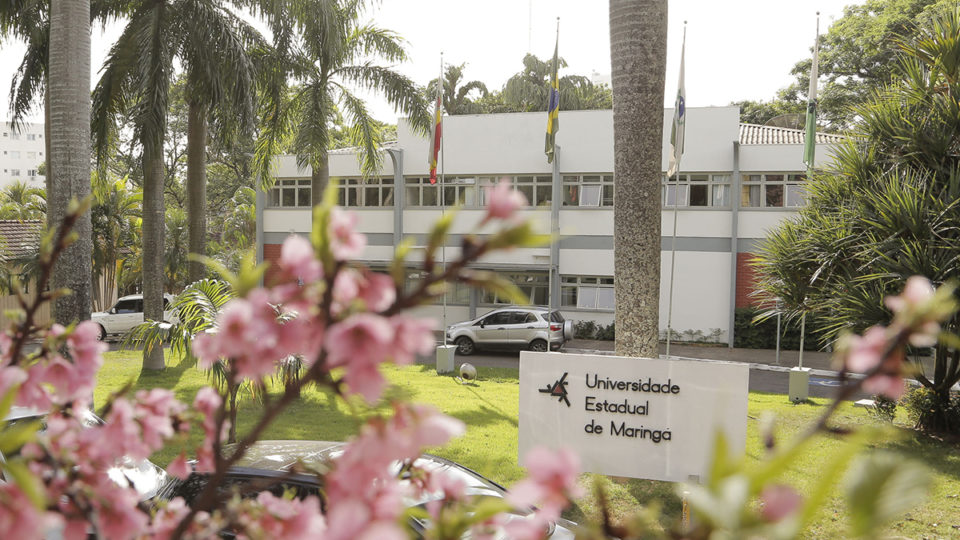 Provas de vestibular da UEM que seriam em Curitiba são transferidas para Ponta Grossa Provas de vestibular da UEM que seriam em Curitiba são transferidas para Ponta Grossa