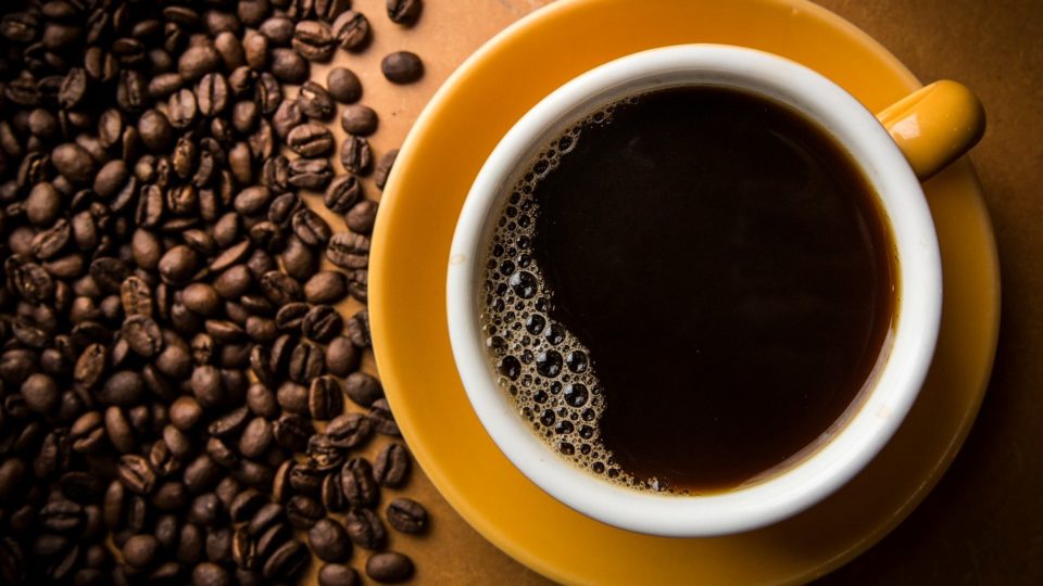 De commodity a café especial: Norte Pioneiro se destaca com produto de alta qualidade Indicação Geográfica Café Norte Pioneiro