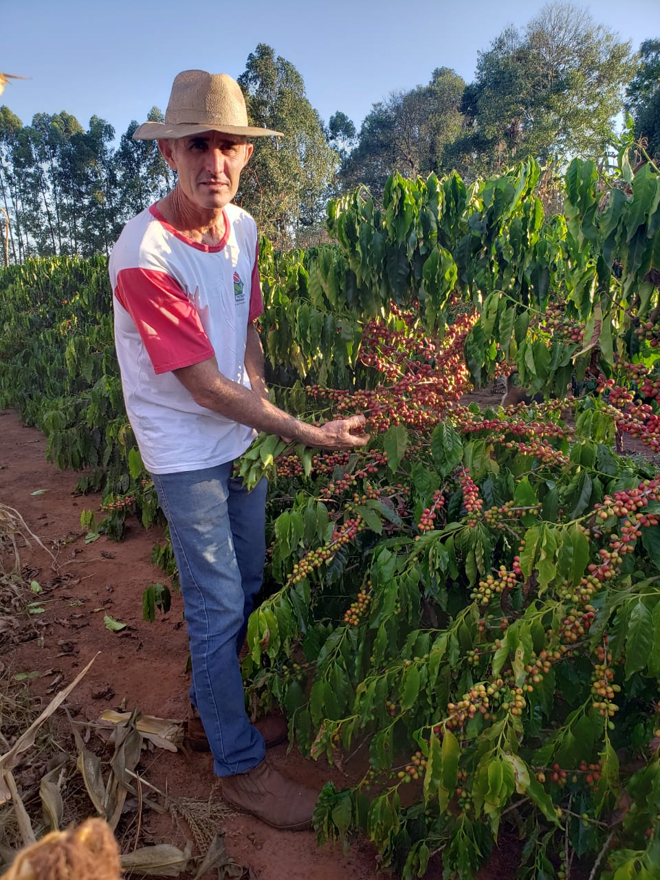 O produtor e presidente da Cocenpp, Ricardo Batista dos Santos, se prepara para a colheita de 2021. Foto: Arquivo pessoal O produtor e presidente da Cocenpp, Ricardo Batista dos Santos, se prepara para a colheita de 2021. Foto: Arquivo pessoal