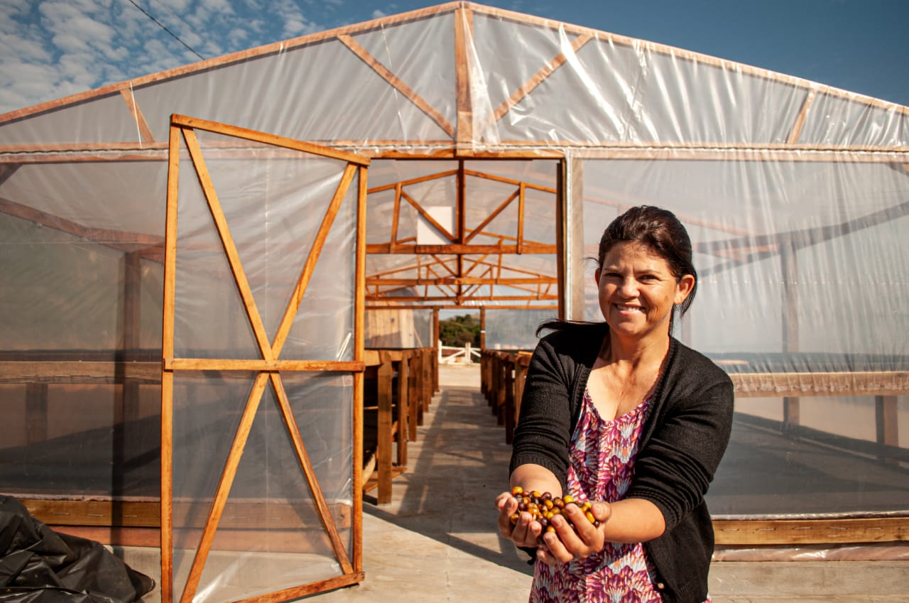 Maristela é uma das cafeicultoras do Norte Pioneiro que exportam seu produto para outros países. Foto: Projeto Mulheres Produzem Maristela é uma das cafeicultoras do Norte Pioneiro que exportam seu produto para outros países. Foto: Projeto Mulheres Produzem