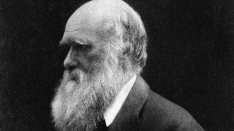 Gritos de Tarzan O naturalista britânico Charles Darwin.