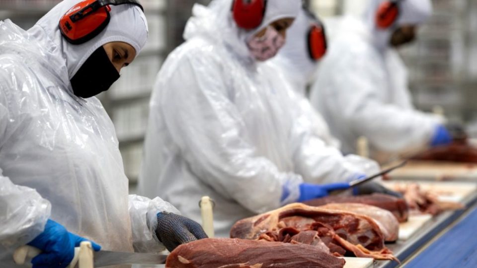 Condor inaugura unidade de processamento de carnes em busca de produtos mais frescos Condor