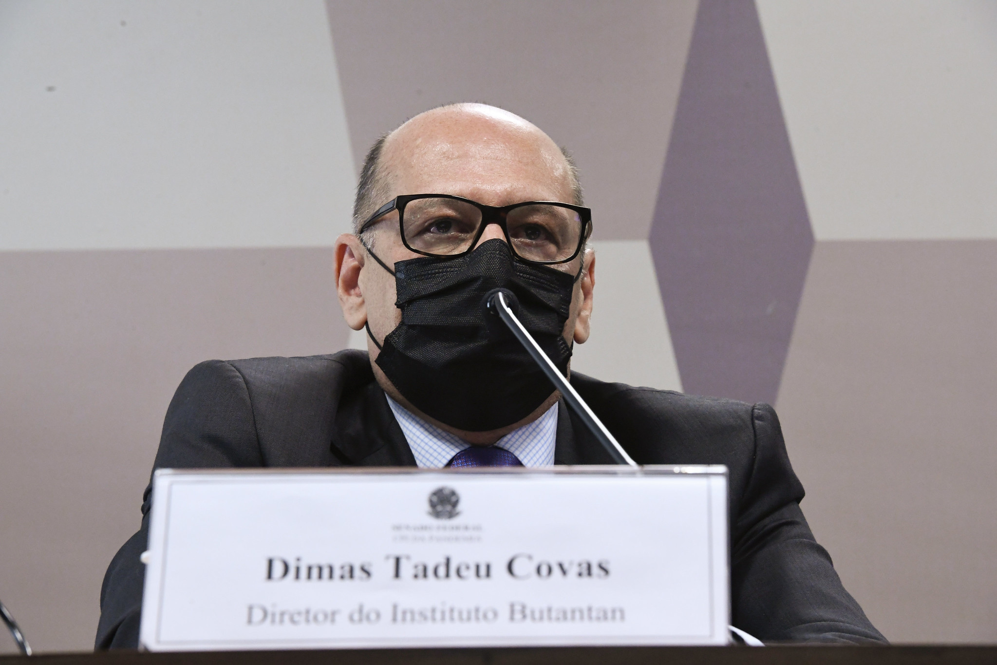 O diretor do Butantan, Dimas Covas