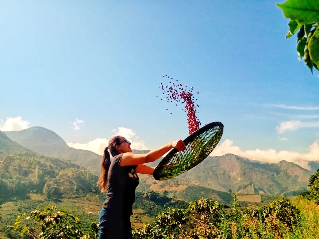 Café produzido por Maria Luiza Gomes, do Sítio Forquinha do Rio, de Minas Gerais, ficou em primeiro lugar no Concurso da Abic 2020.