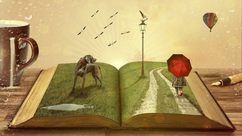 Para que serve a literatura?