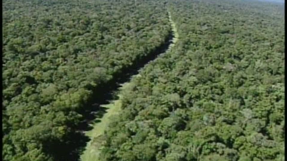 Empresários assinam carta a deputados contra Estrada do Colono e outros projetos estrada do colono