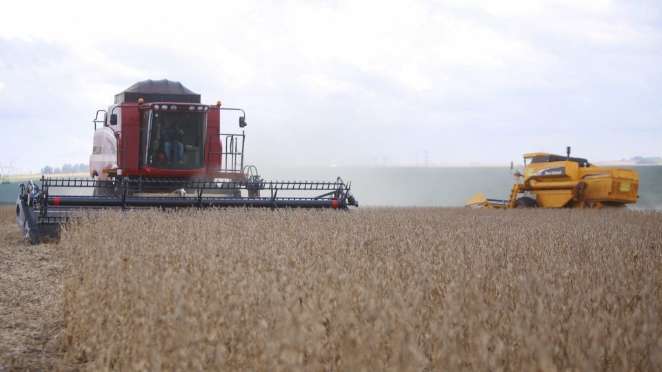Ganho econômico com a adoção de tecnologias na agricultura pode chegar a US$ 21,1 bilhões, segundo o BNDES.
