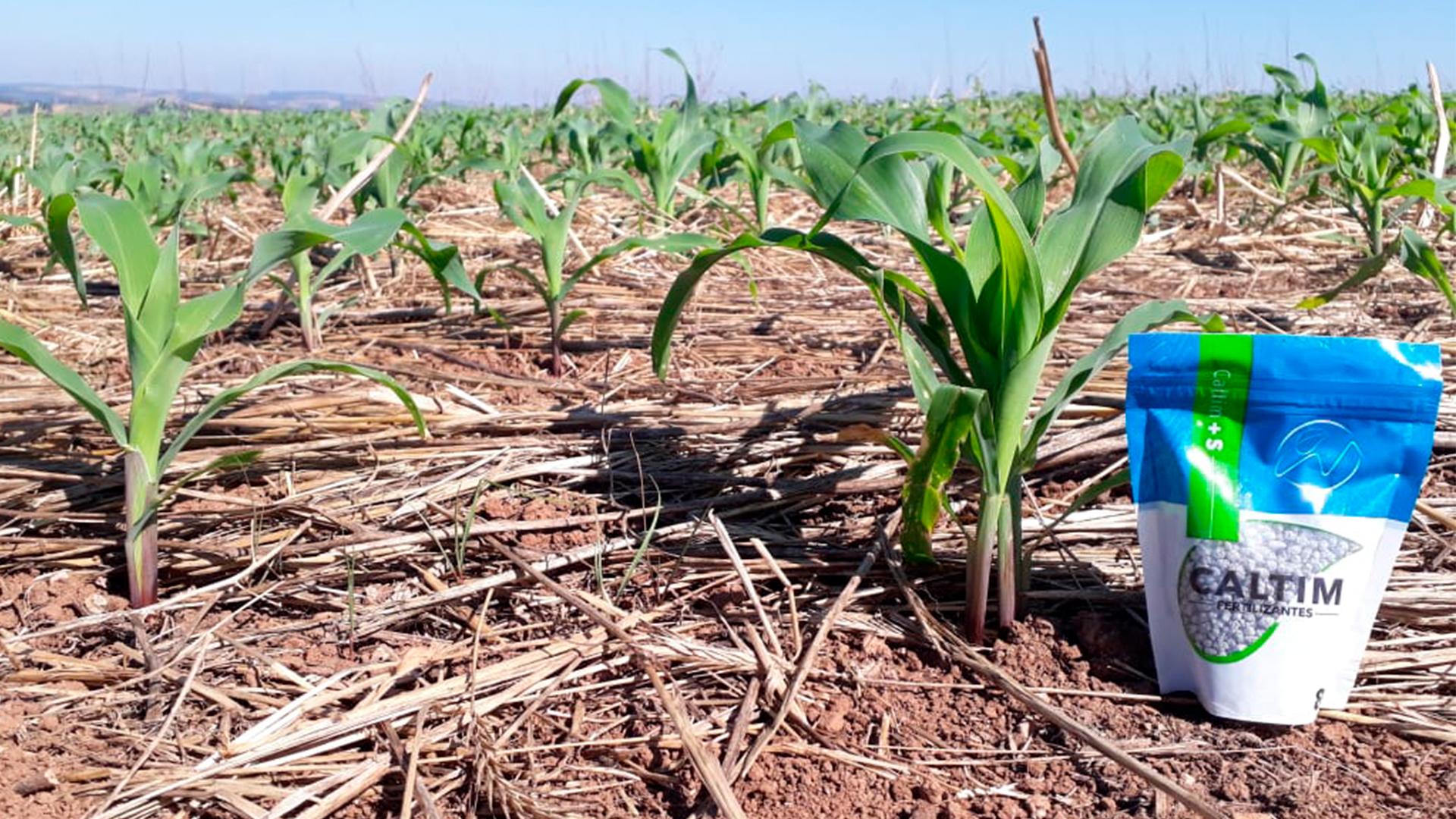 Agronegócio brasileiro deve crescer 20% até 2030. Plantação em Camargo – Rio Grande do Sul Agronegócio brasileiro deve crescer 20% até 2030. Plantação em Camargo – Rio Grande do Sul
