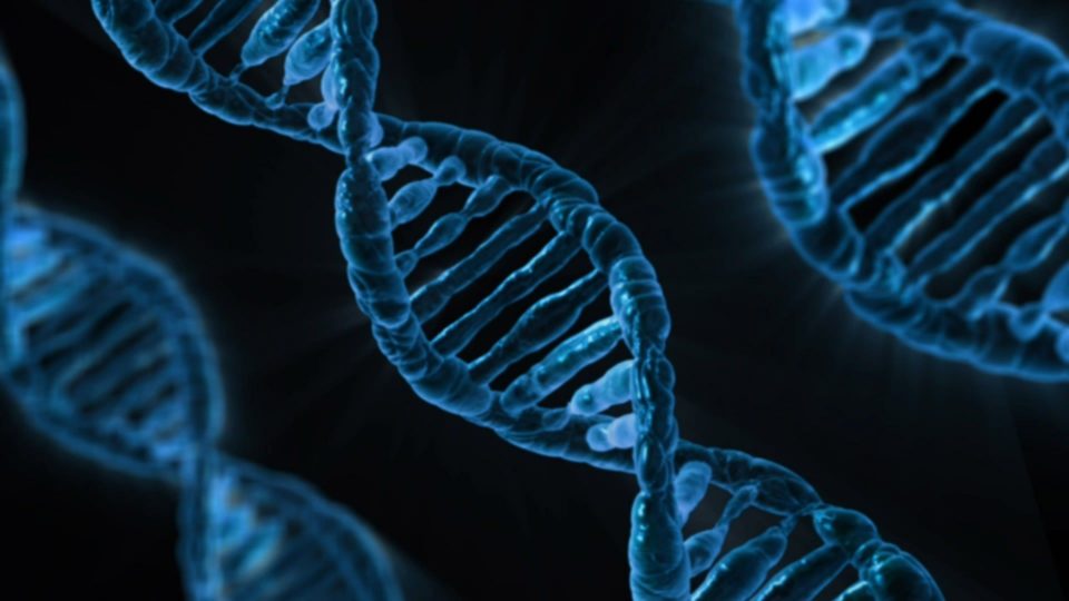 Complexidade Hélices de DNA.