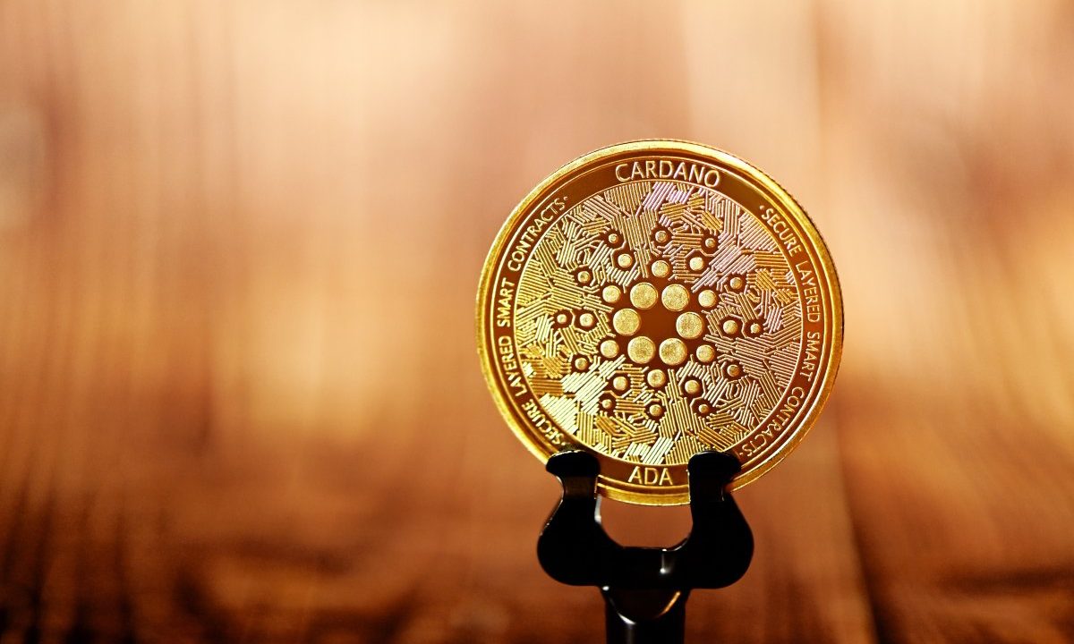 Criptomoeda Cardano pode valorizar até 2.000% em 2021, diz trader