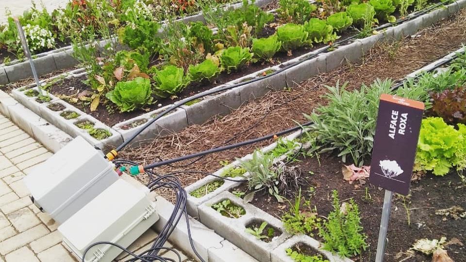 Startup de estudantes da PUC-PR ajuda agricultores com irrigação inteligente irrigação inteligente irrigate
