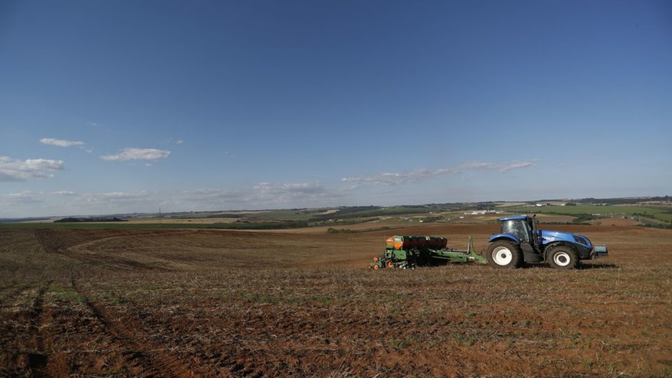 Castrolanda exportará sementes de soja para o Paraguai Castrolanda