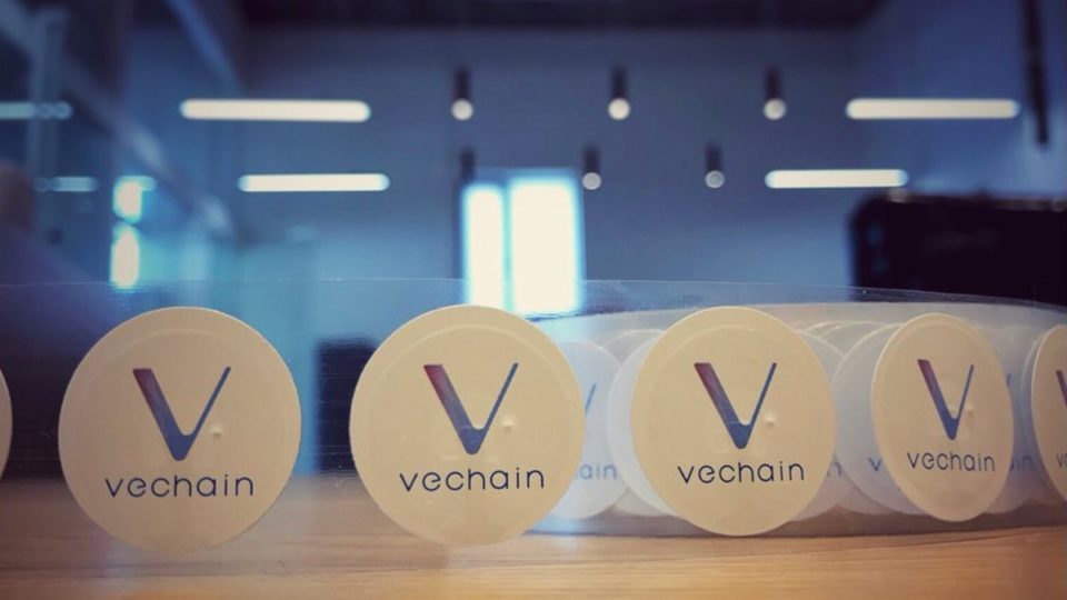 NovaDAX vai distribuir dinheiro para traders que mais negociarem VeChain NovaDAX vai distribuir dinheiro para traders que mais negociarem VeChain
