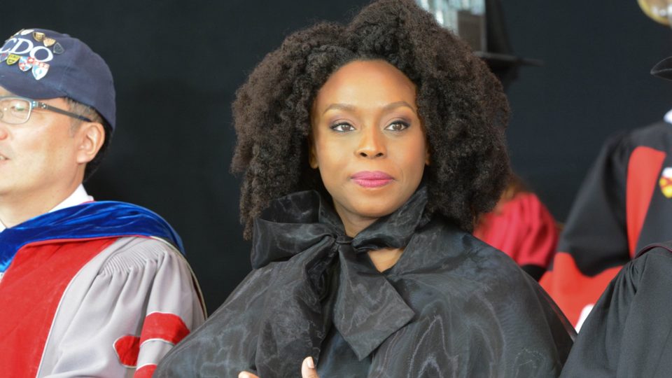 Cancelada por transfobia, Chimamanda dispara contra a patrulha identitária: indecente Acusada de transfobia, Chimamanda faz ensaio demolidor sobre a patrulha identitária
