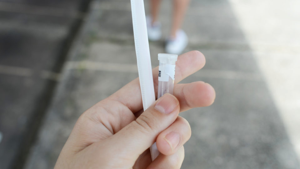 Em mutirão da UFPR, 1% dos assintomáticos testa positivo para Covid-19 O teste envolve a coleta de saliva dos voluntários