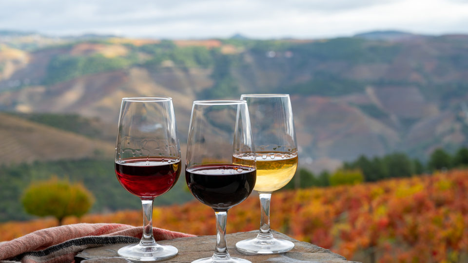 Nova edição do Festival Vinhos de Portugal no Brasil pretende popularizar os rótulos de qualidade superior Vinhos Portugal Brasil