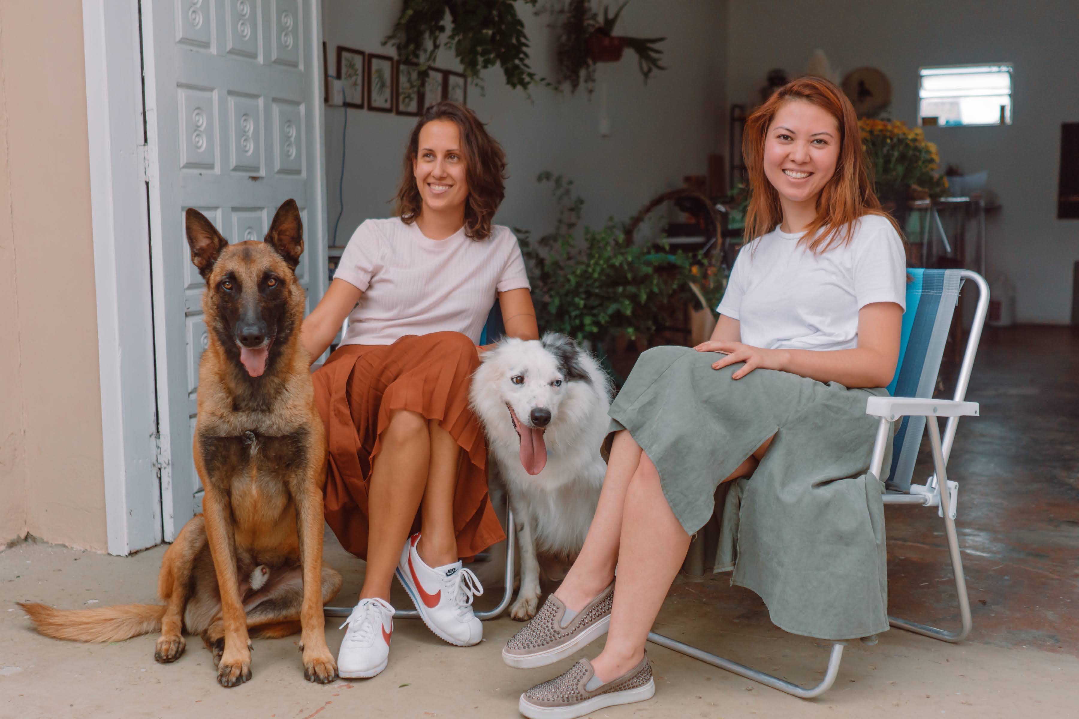 Imagem referente a matéria