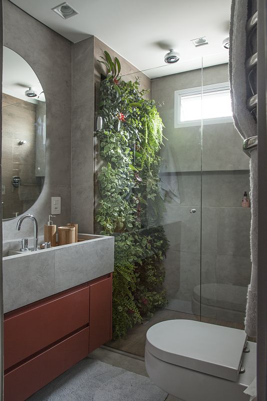 shower-plant-plantas-chuveiro-divulgacao shower-plant-plantas-chuveiro-divulgacao