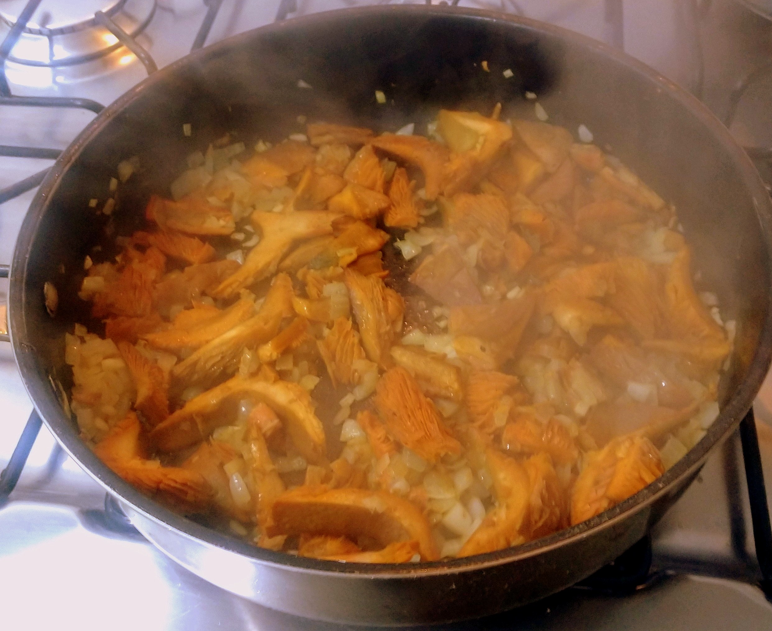 O cogumelo lactarius e sua incrível cor laranja, na frigideira. O cogumelo lactarius e sua incrível cor laranja, na frigideira.