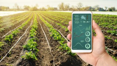 Brasil tem condições para fomentar as primeiras “Smart Agro Cities”
