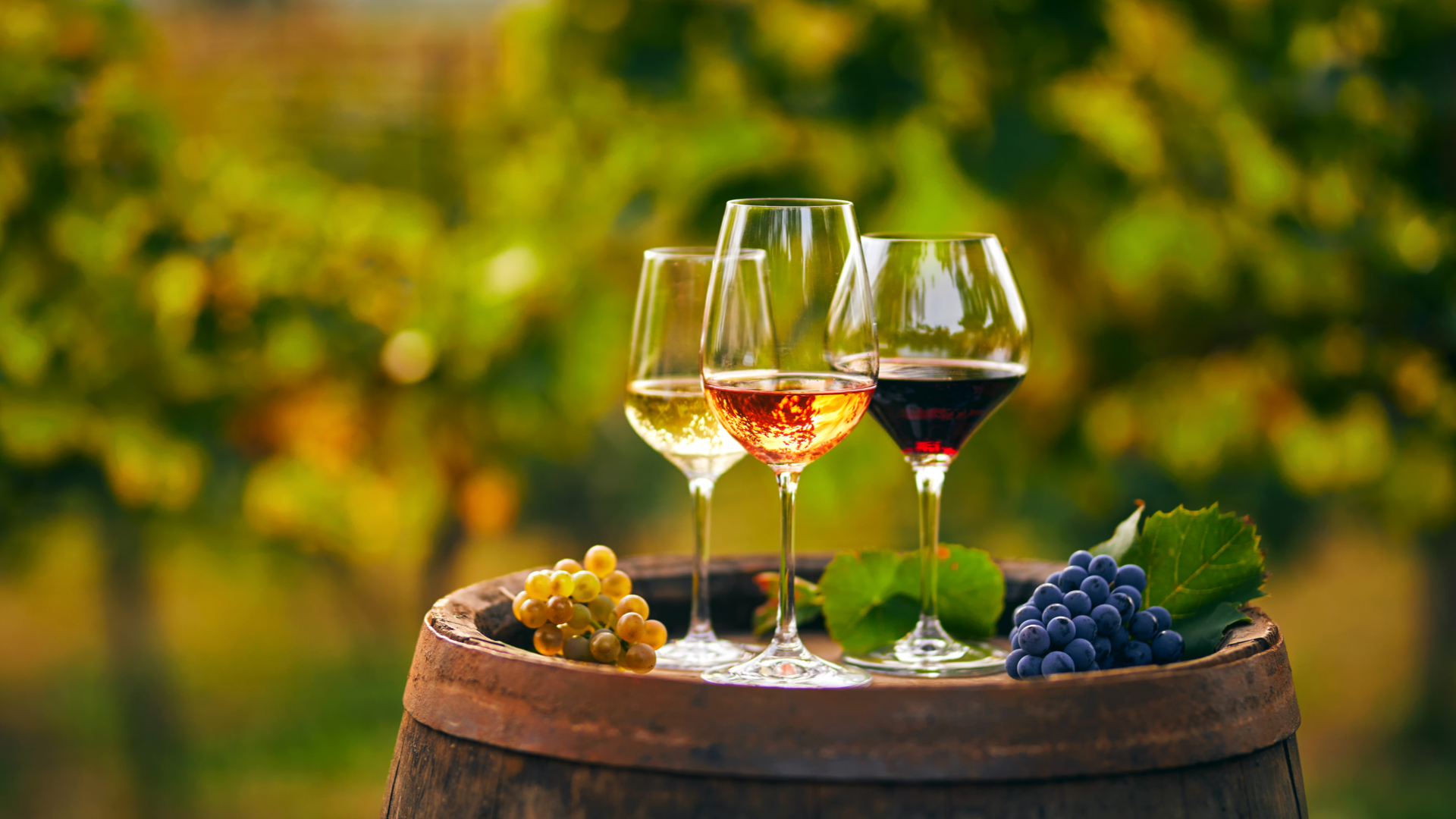 Vinhos rosés trazem o charme do verão para qualquer ocasião.