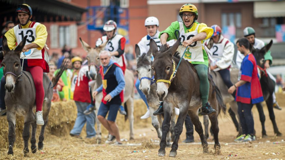 Corrida burro