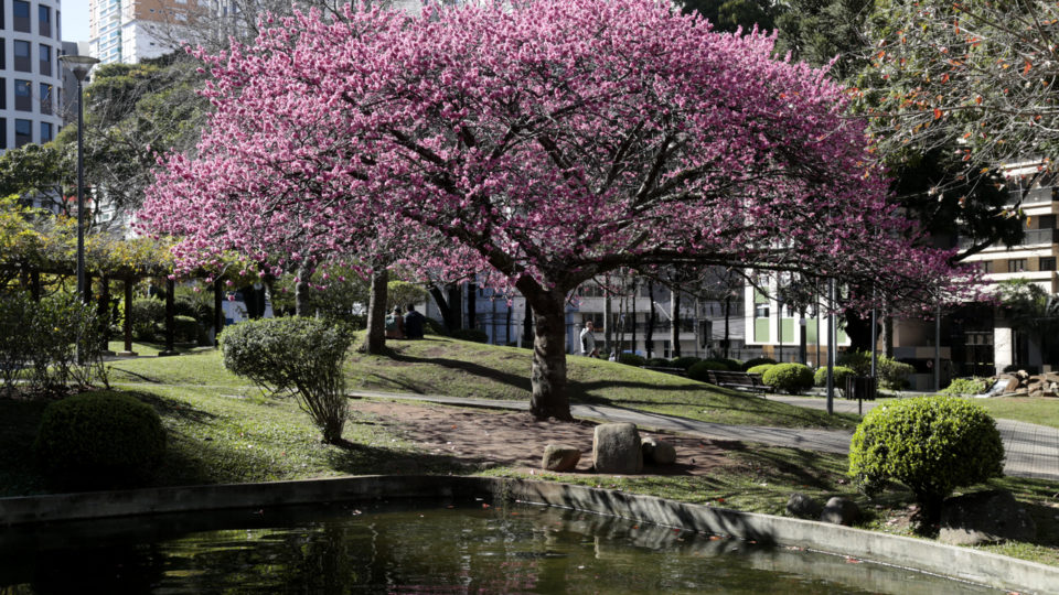 Confira quatro dicas de praças em Curitiba para curtir o sol de inverno Praças para curtir o inverno