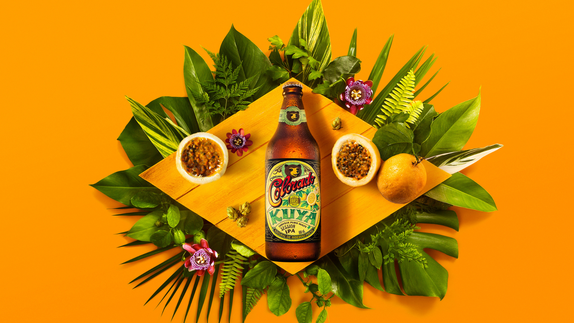 Imagem referente a matéria