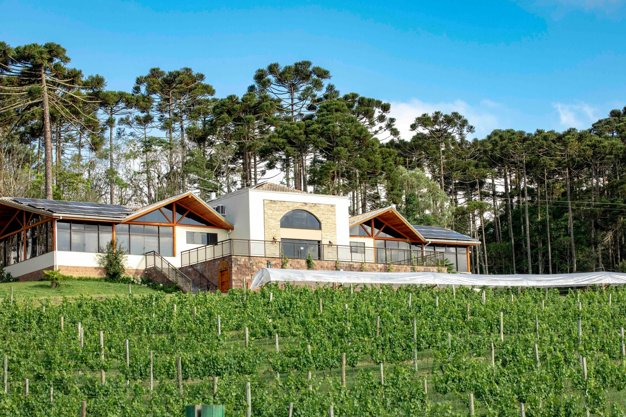 Restaurante Campestre Gralha Azul. Restaurante Campestre Gralha Azul.