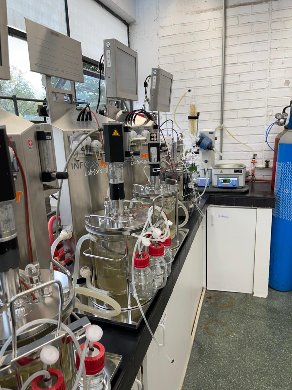 Infraestrutura de bancada da UFPR para fermentação de carboidratos a ácido lático. Infraestrutura de bancada da UFPR para fermentação de carboidratos a ácido lático.