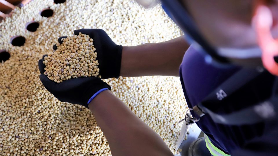 Indústria sofre com impostos e Paraná vê produtos primários dominarem exportações Paraná dobrou a exportação de soja em grãos nos últimos 10 anos. (Cláudio Neves/Portos do Paraná).