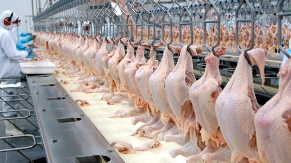 Indústria paranaense lidera contratação de crédito junto ao BRDE Agroindústria de suínos e aves respondeu por mais da metade do crédito no Paraná