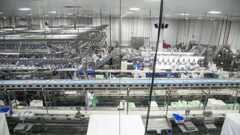 Com projetos de expansão, C.Vale e Agrária podem gerar até 600 novos empregos no PR C.Vale