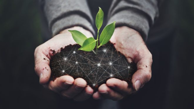 Startups de agro: conheça as 5 maiores agtechs do Brasil em 2021 - Vimarsana News