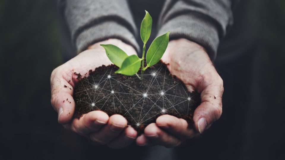 Startups de agro: conheça as 5 maiores agtechs do Brasil em 2021 Conheça as maiores agtechs do Brasil