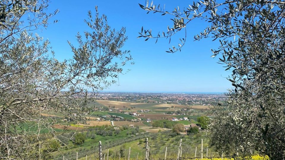 Vistamare