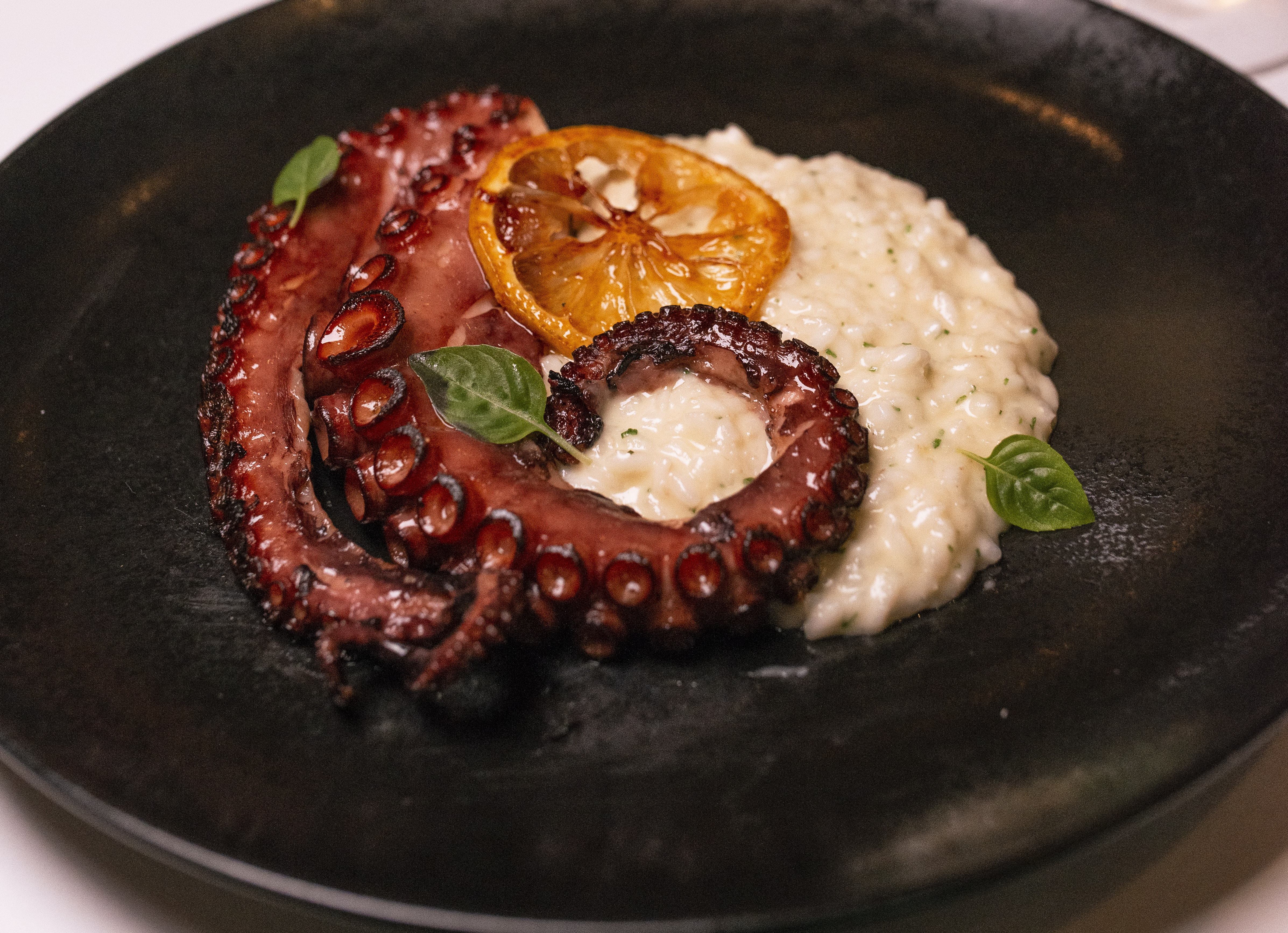 Polvo grelhado, com risoto de limão siciliano - o melhor que provei nos últimos tempos. Polvo grelhado, com risoto de limão siciliano - o melhor que provei nos últimos tempos.