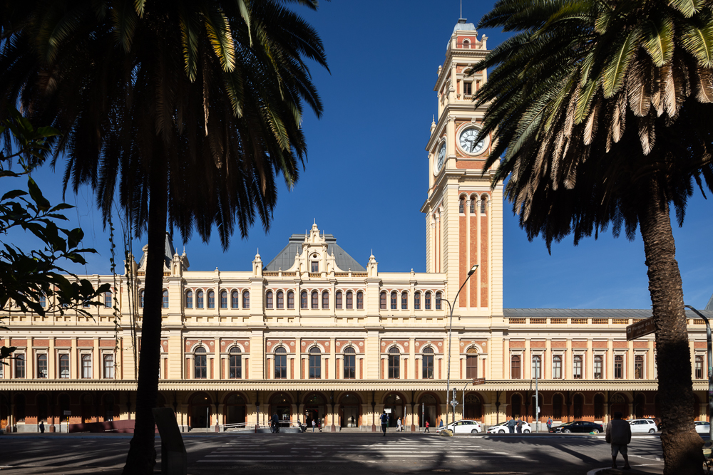 Você é favorável ao uso da linguagem neutra em instituições públicas? Dê sua opinião