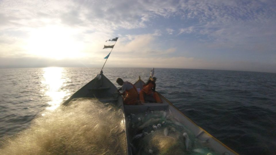 Startup do litoral do PR conecta pescadores artesanais a restaurantes e consumidores DCIM101GOPRO