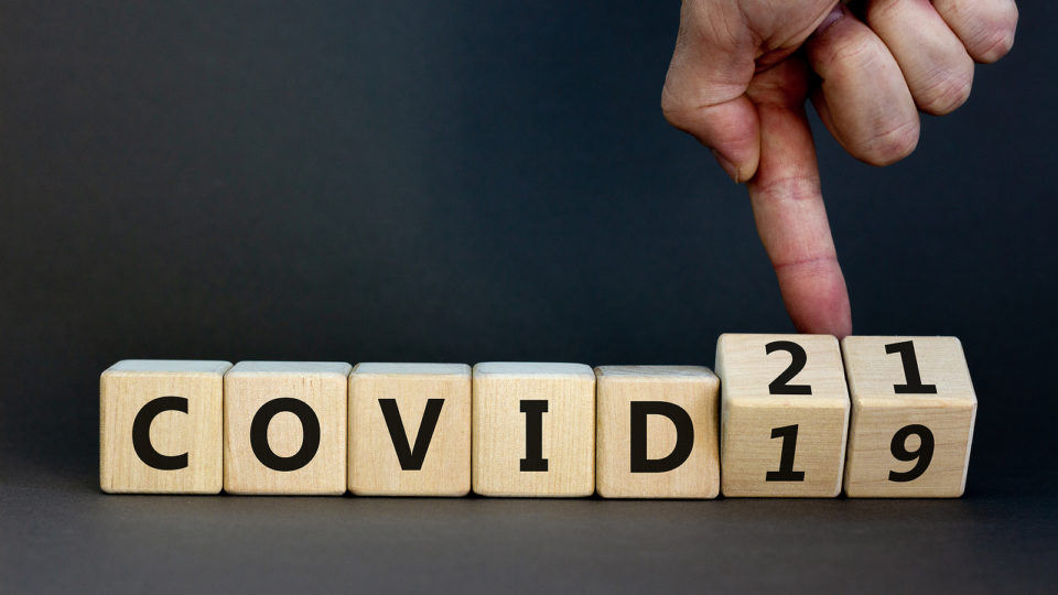 A ideia que que será possível erradicar a Covid-19 rapidamente não encontra base científica. O mais provável é que teremos ainda de conviver com a doença.