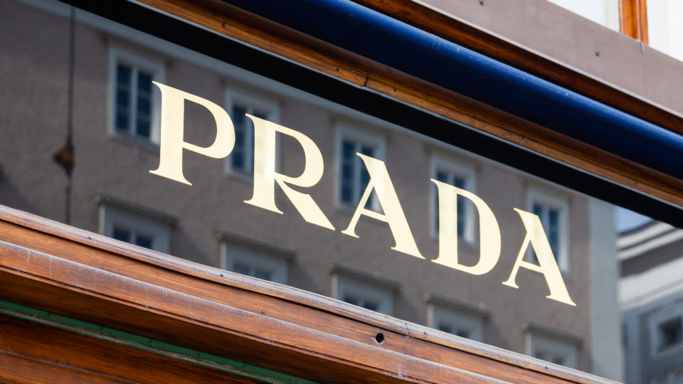Djamila veste Prada Prada