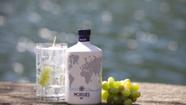 Você conhece o gim de vinho? Descubra as diferenças em relação à versão tradicional da bebida Gin