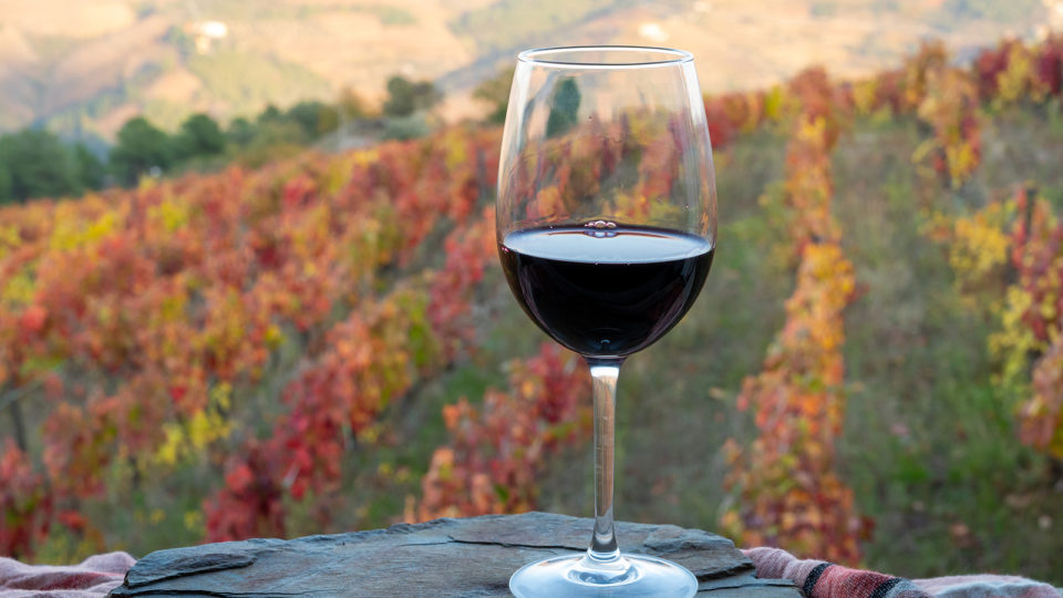 Vinhos: a natureza é a tendência vinho natureza