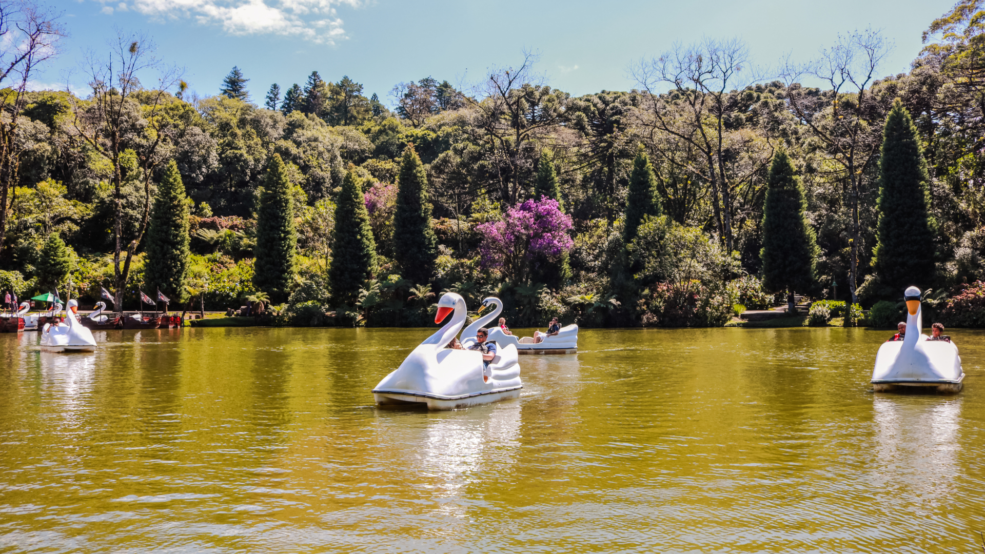 O Lago Negro é um dos principais pontos turísticos de Gramado, cenário perfeito para um piquenique a dois e um passeio de pedalinho.