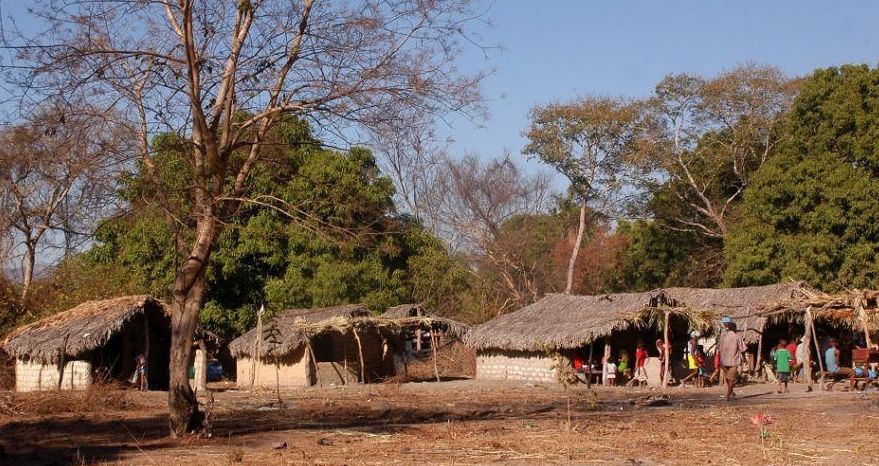 CAU/GO lança concurso de arquitetura para habitação quilombola Área da comunidade Kalungase, na região da Chapada dos Veadeiros.