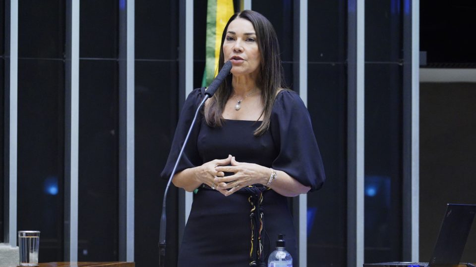 Retrocesso na transparência eleitoral A deputada Margarete Coelho, relatora do Código de Processo Eleitoral na Câmara.