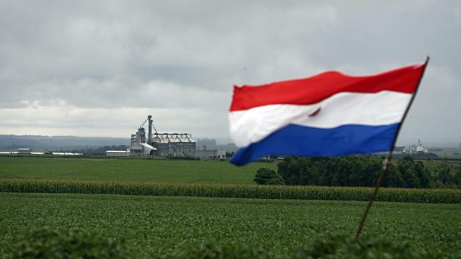 | Albari Rosa/Gazeta do Povo