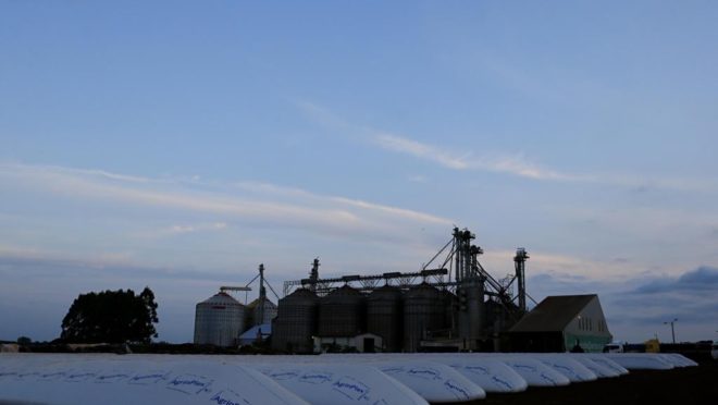 | Albari Rosa/Gazeta do Povo