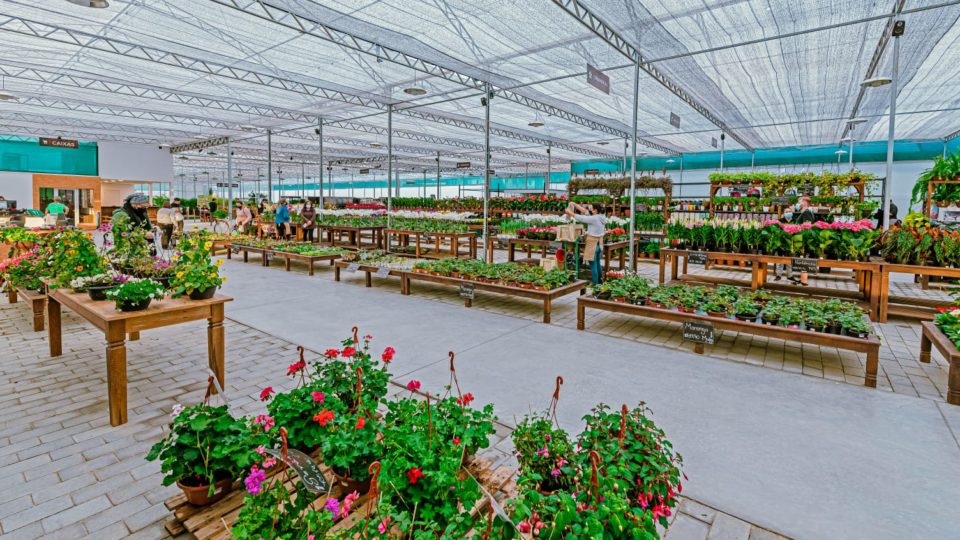 Plantas e flores: veja quem perdeu e quem ganhou na pandemia Como está o mercado de plantas na pandemia?